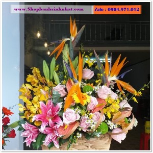Hoa Tươi Tặng Khai Trương - OK29